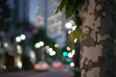 pentacon_av_80mm_pk-sony_a7