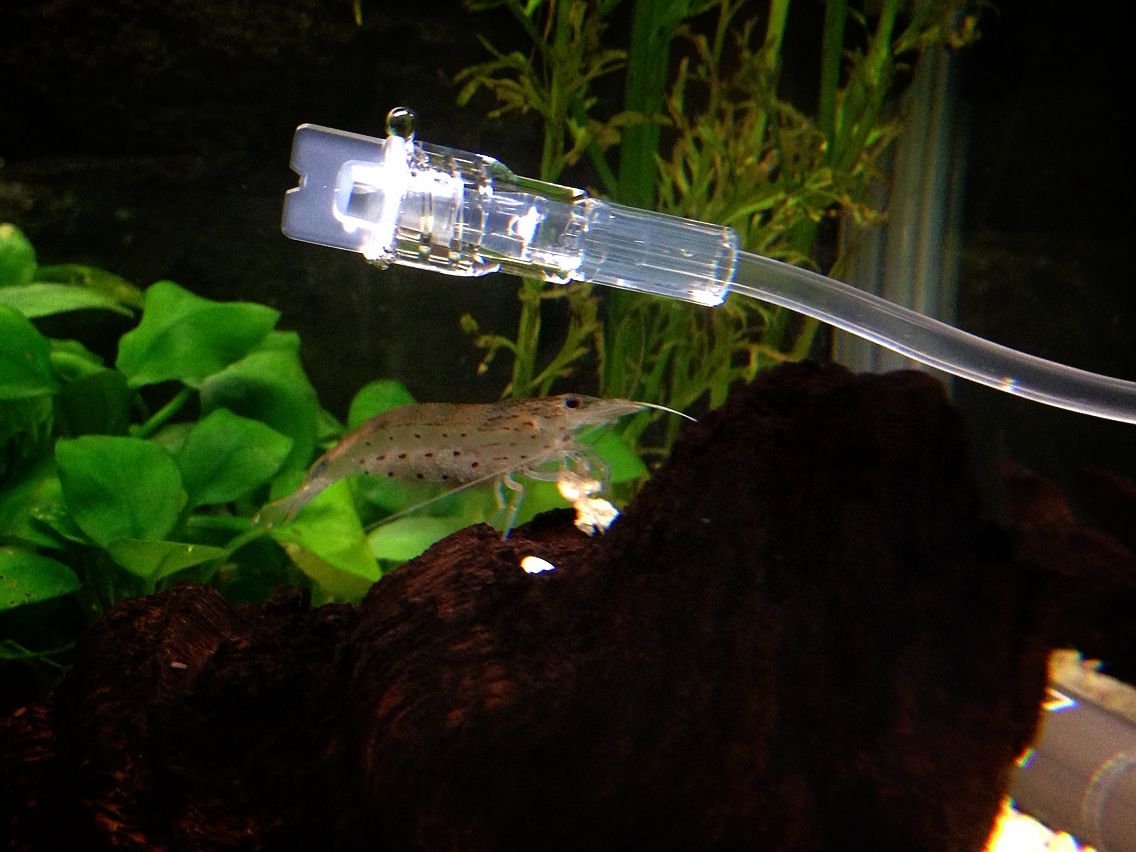 点滴キット Seen By Foureyes