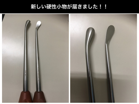 異なる道場に見学に行き、学ぶ。新しいコブが届きました。