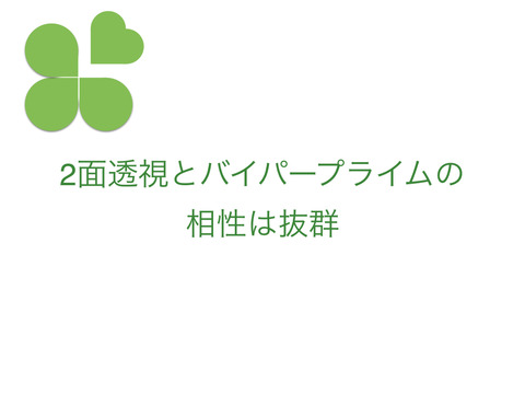 2面透視と組み合わせることで、バイパープライム®が手放せない！