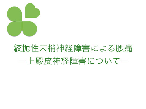 末梢神経絞扼性障害としての腰痛；上殿皮神経障害