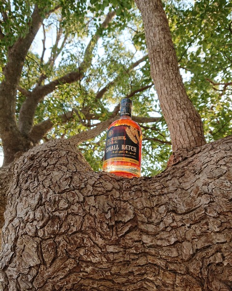 IMG_20191228_021956_249