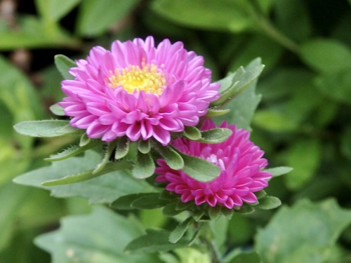 8D75836D-4DDE-41DE-BF2D-8BB74AEFB46E