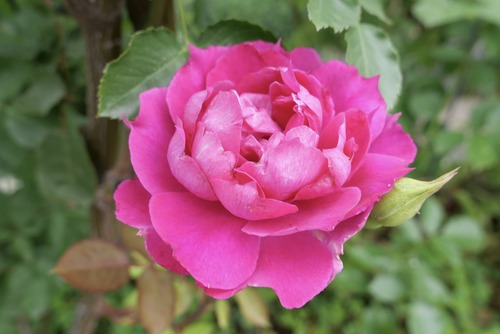 1B54F644-768C-4202-A6CB-9899830016C1