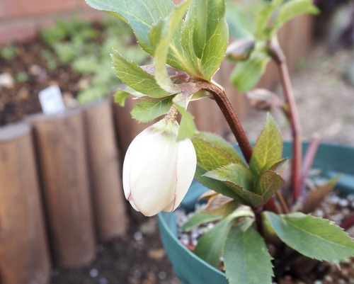 357D7CE9-1735-4545-B092-FCDE288AAE9D