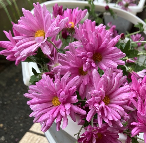 732E13CD-9824-4A69-9ABC-47E027F2A3F5