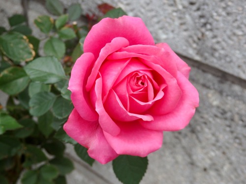 9D0F9F31-B7E8-4010-80BC-49D0F26BC642