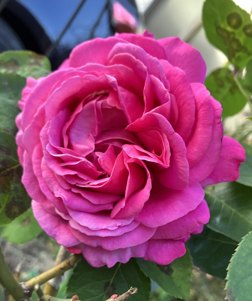 0B0E6AE5-B5E6-4ACF-B490-869E3AA76895