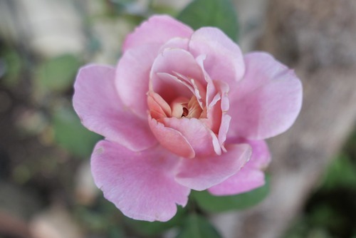 12C83BC6-823E-493A-9554-110202AA5D3B