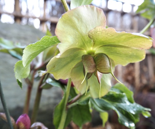 47B52EC6-30B6-4080-B0A7-C45586C79D32