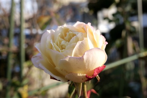 DEB5F209-7B0B-4A28-ABB3-12B0CB0D0963