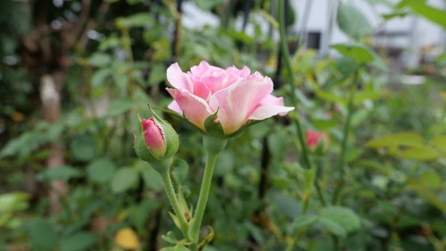 65DCD0BF-84A6-4096-9476-A537DF52973F