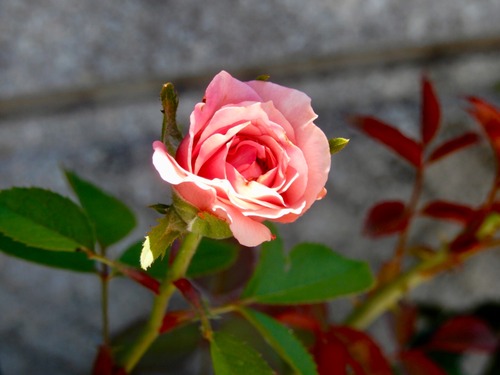 6005577D-36CC-4FB1-8203-86083601EA25