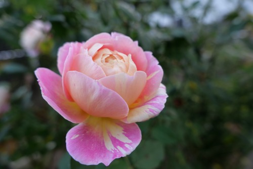 CE8A9E92-17EF-44C6-AFB6-2AF193255E2D