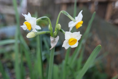 8CCB11E4-54D8-42D3-8D12-3AFC793AFF85