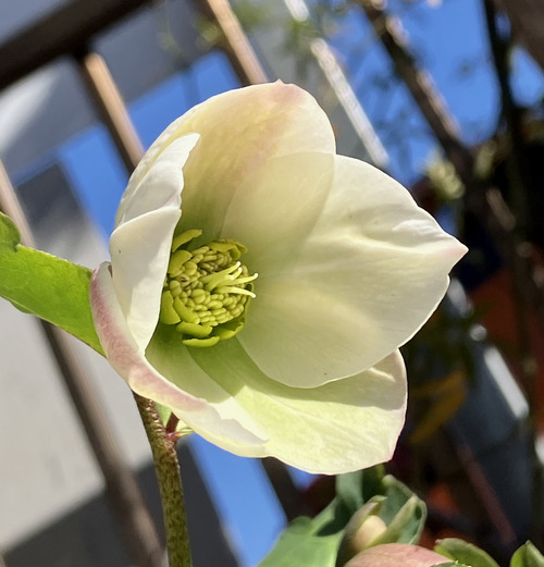 344F6F27-D8E4-4D6E-8D08-341972EC41F3