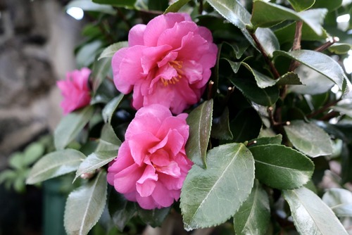 0BFB7660-86CD-4205-9F28-A622B1A187C1