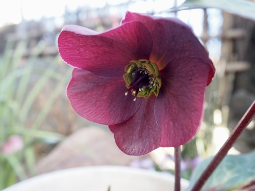 678790E1-5A82-41FA-BE70-E099D52B129D