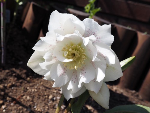 D3EE7384-C7D7-4E52-ADFA-E4D468247997