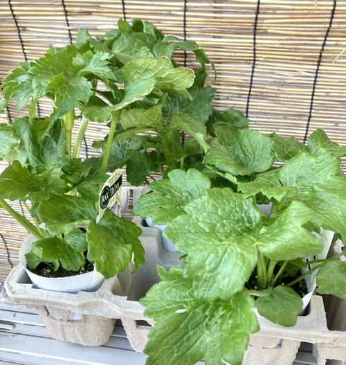 844957EB-965D-4EBA-B5A1-C26AD8591BC8