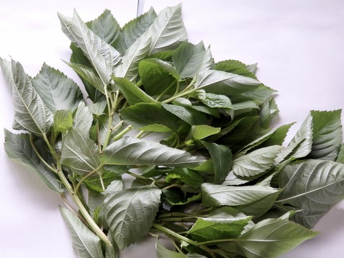 C07D880C-E919-4917-AA95-A7E3AA6CDF5C