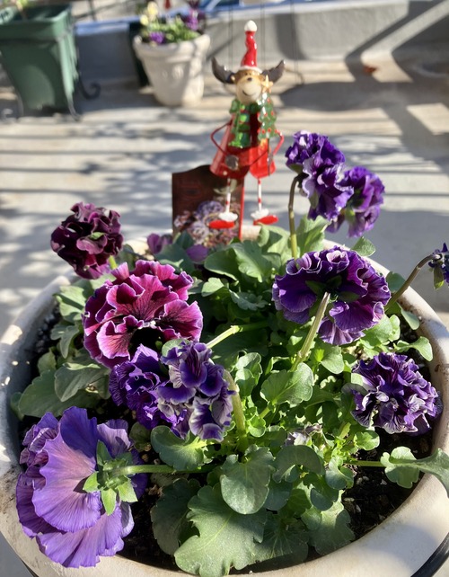 01425E16-7D2C-4188-822D-36F20F23ED6E