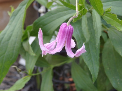 5829C24A-7FC8-42D5-AED8-DD42C033F4C3