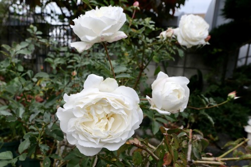 3B123503-A7B3-4AC3-9A93-BDFE846C96AF