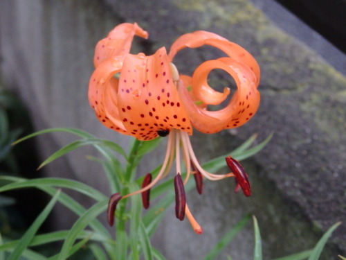 464BE39F-9362-4328-BF20-3CEA297811AD