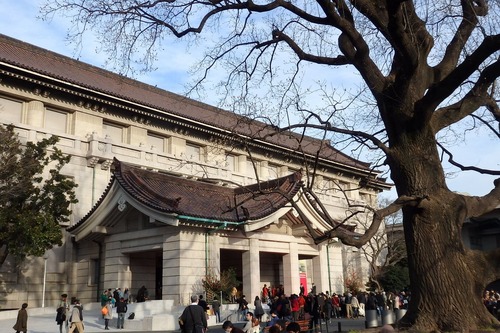 2016年1月　東京国立博物館　本館とユリノキ