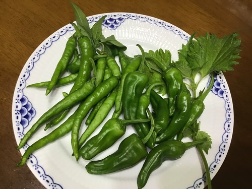 1C29E2D2-D9F4-4965-8D61-073DEE85CCEA