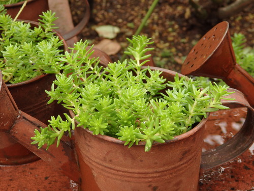 F8089A6A-155C-4E9B-8BAD-ACB557129F8C