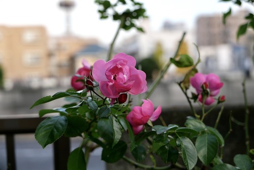 F20C34C5-8A6D-4AF6-A3AF-F21D387A8E73