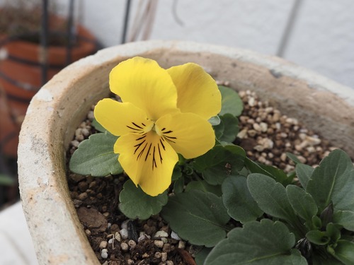 3254815C-6E20-411D-82EC-761F7C05DA6E