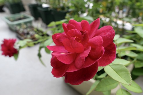 DCF827D1-9B1E-4537-AAF3-341F09EB16B2