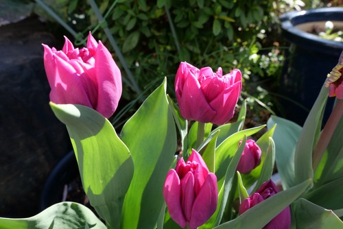 5597F436-548E-400B-9BCA-D8BC69F9840F