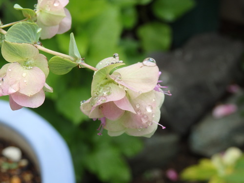 9C53CBEF-B623-4BC9-9D01-9B5E1979B3B8