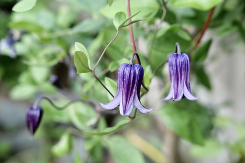 00718336-D104-4C12-BE4E-8BF1478E6F6B