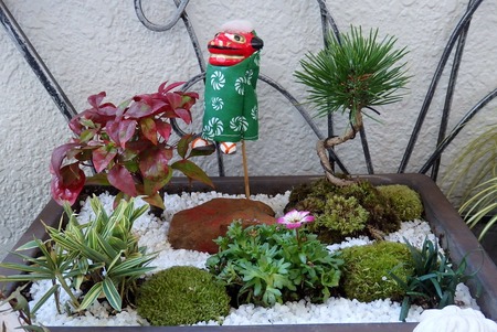 松竹お正月寄せ植え