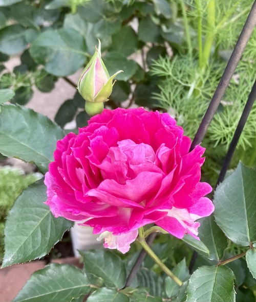 8396F5DB-0DCE-4168-BAB2-C6099399B259