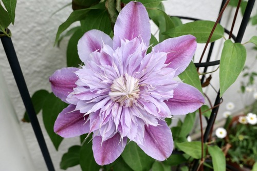 A87AB72F-E934-4EFB-A612-132239877D79