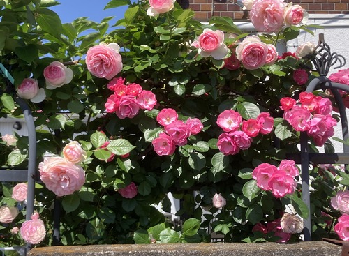 FC76318F-4B7B-4E31-999C-5B0A3EB413FA