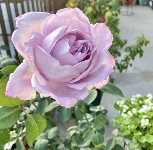 816B56AD-6078-4276-805F-890337159987