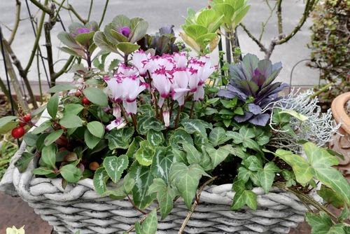 1D983C63-F35D-43CA-A272-206EDF3B8A14