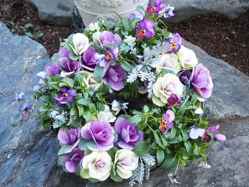 359D4450-28B0-44F2-88A4-C41F80DE9296