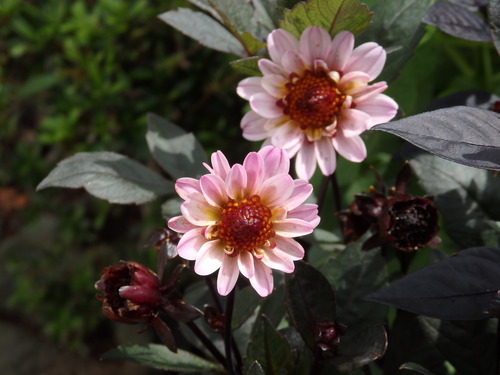 3ADE1442-DEF0-4A8A-8BE9-C6147125C895