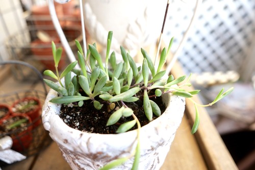 5AAE483D-3046-49B0-85C1-130F51C9E168