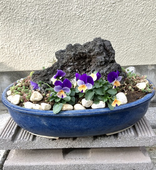 6A595049-1613-4D0D-AA70-35DBDC909C3D