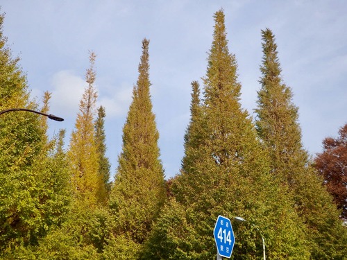 FE1A91F2-1169-4B2E-BE59-E78639B7F07A