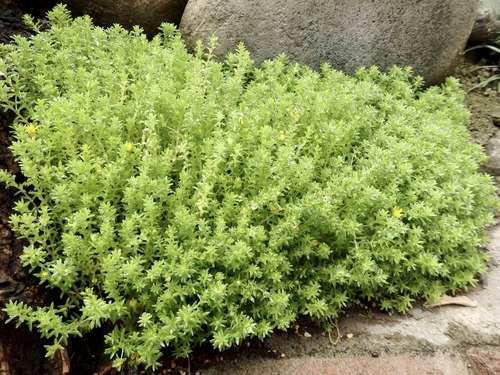 CA75B9AA-D2D9-45EB-AC6A-E2A80B1E13F6